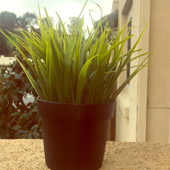 Fake plant - Picture 1 of 1